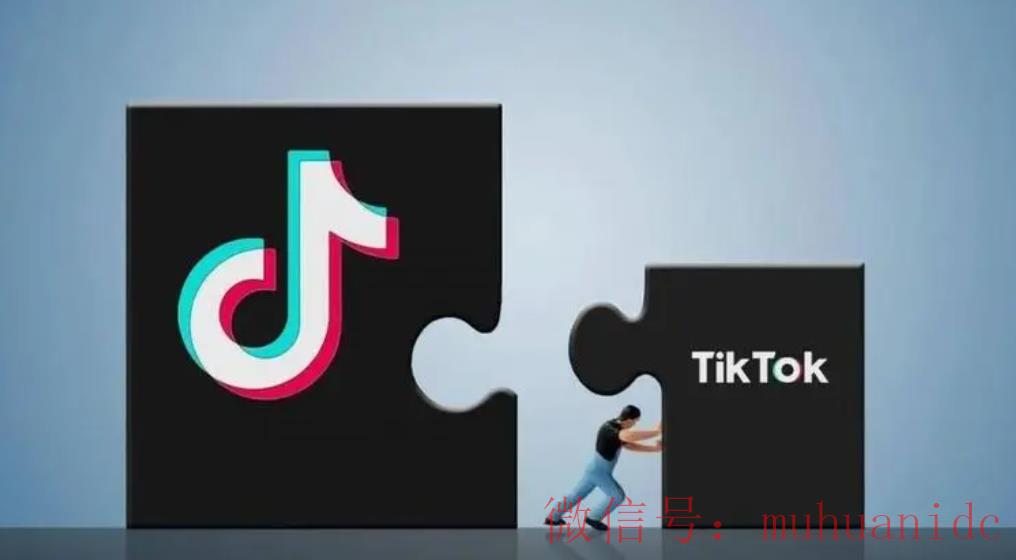 tiktok账号购买平台