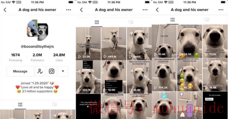 tiktok账号购买平台