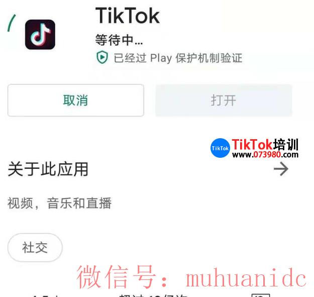 tiktok账号购买平台