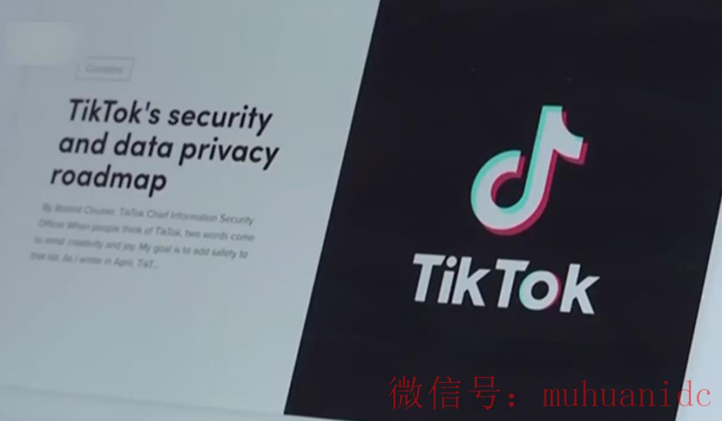 tiktok账号购买平台