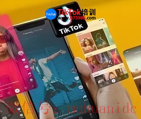 tiktok账号购买平台