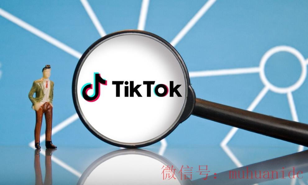 tiktok账号购买平台