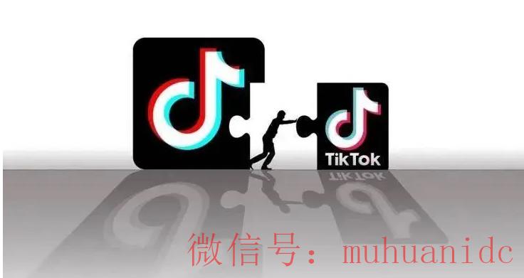 tiktok账号购买平台