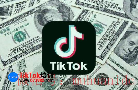 tiktok账号购买平台