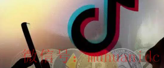 tiktok账号购买平台