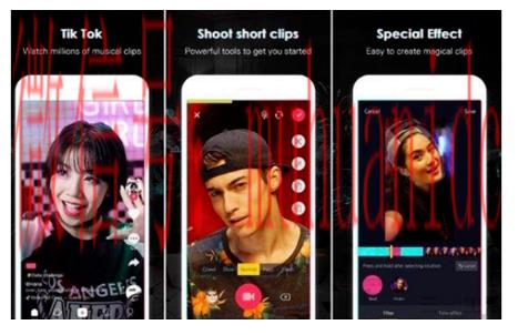 tiktok账号购买平台