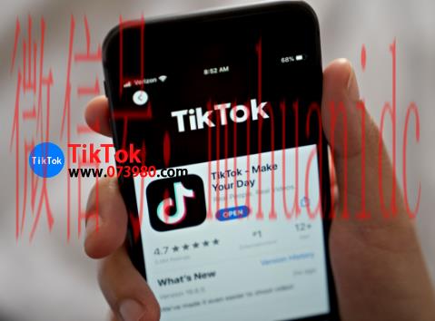 tiktok账号购买平台