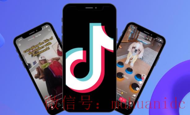 tiktok账号购买平台