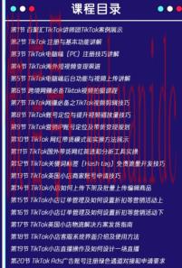 tiktok账号购买平台