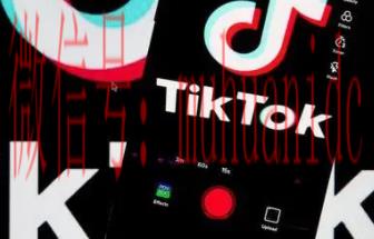 tiktok账号购买平台