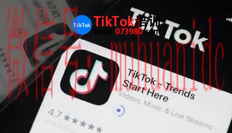 tiktok账号购买平台