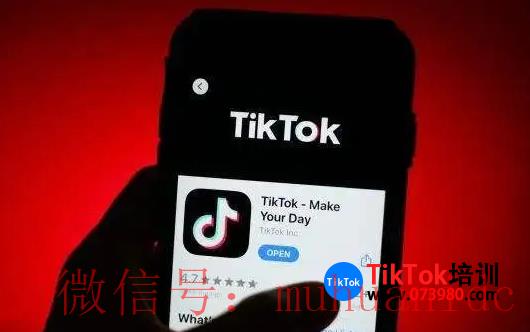 tiktok账号购买平台