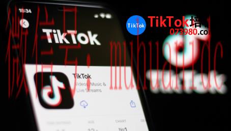tiktok账号购买平台