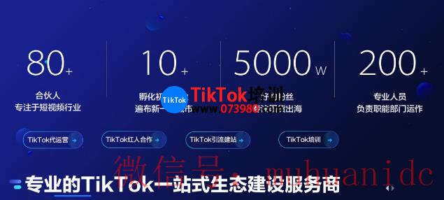 tiktok账号购买平台