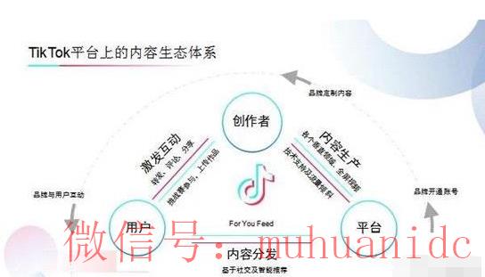 tiktok账号购买平台