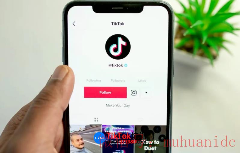 tiktok账号购买平台