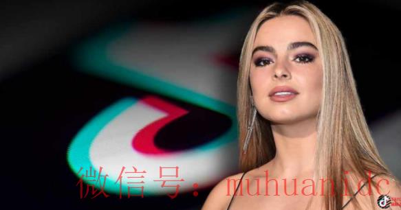 tiktok账号购买平台