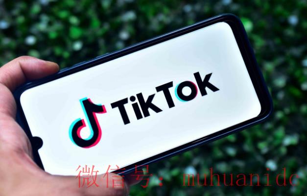 tiktok账号购买平台