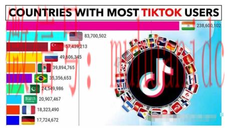 tiktok账号购买平台