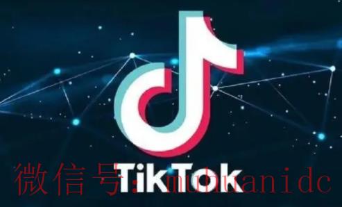tiktok账号购买平台