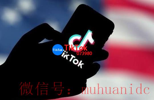 tiktok账号购买平台