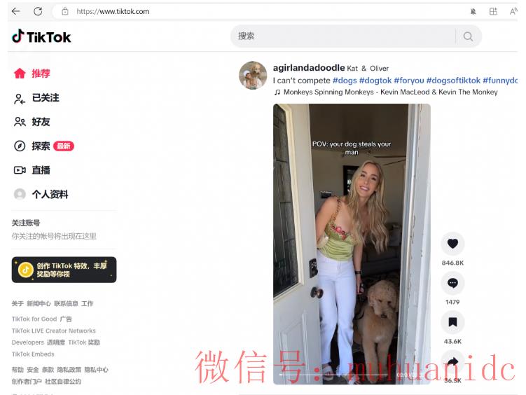 tiktok账号购买平台