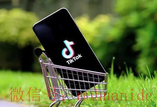 tiktok账号购买平台