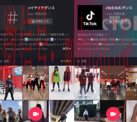 tiktok账号购买平台