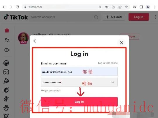 tiktok账号购买平台