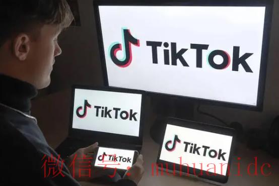 tiktok账号购买平台