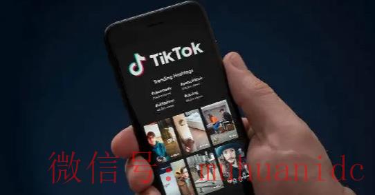 tiktok账号购买平台