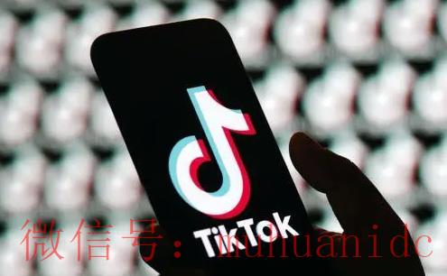 tiktok账号购买平台