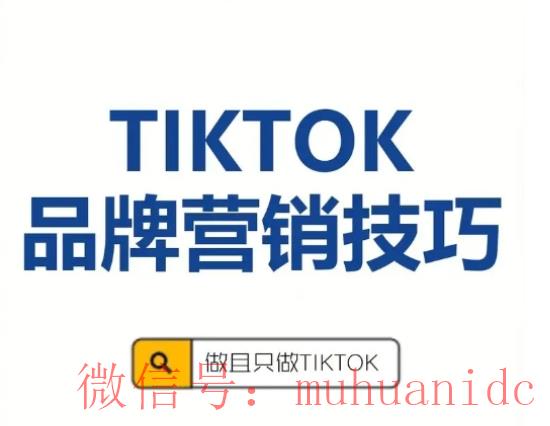 tiktok账号购买平台