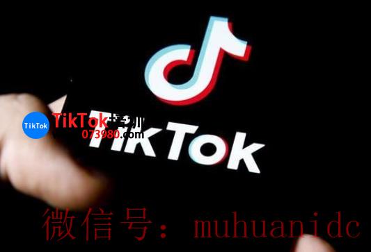 tiktok账号购买平台