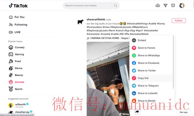 tiktok账号购买平台