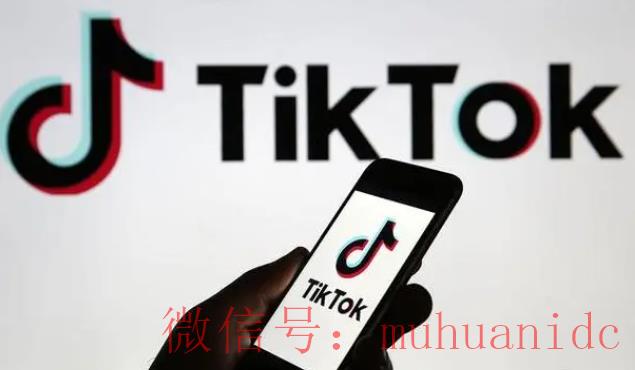 tiktok账号购买平台