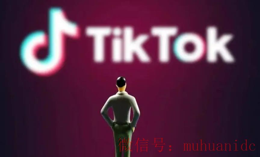 tiktok账号购买平台