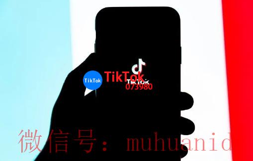 tiktok账号购买平台