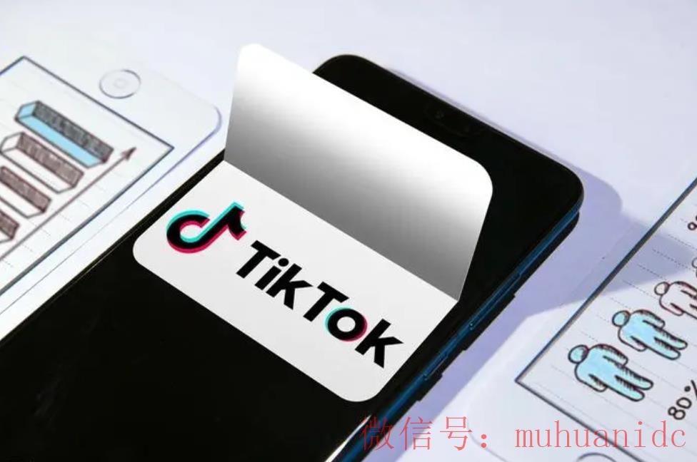 tiktok账号购买平台