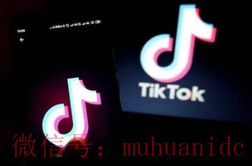 tiktok账号购买平台