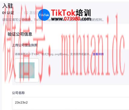 tiktok账号购买平台