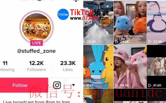 tiktok账号购买平台