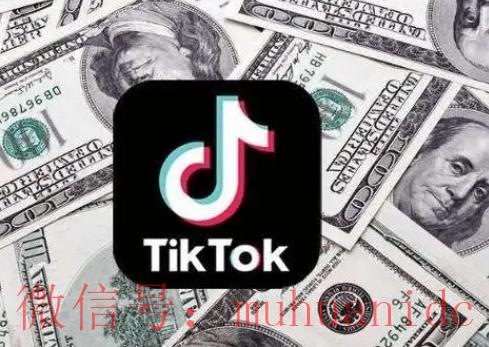 tiktok账号购买平台