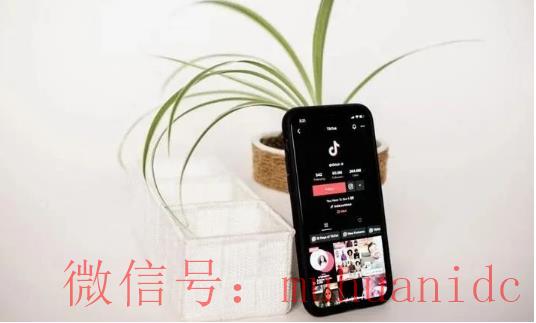 tiktok账号购买平台