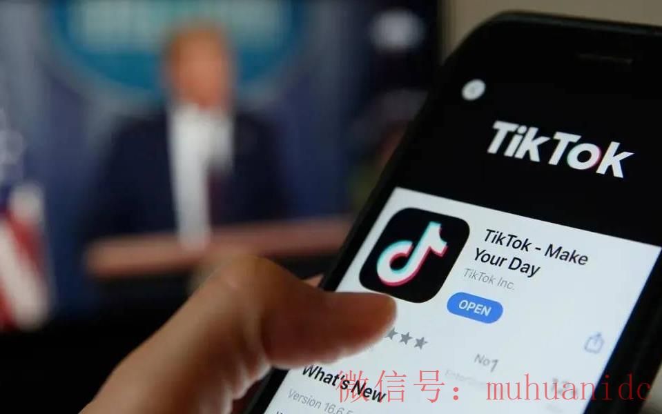 tiktok账号购买平台