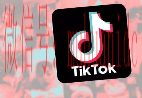 tiktok账号购买平台
