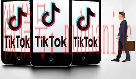 tiktok账号购买平台