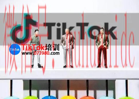 tiktok账号购买平台