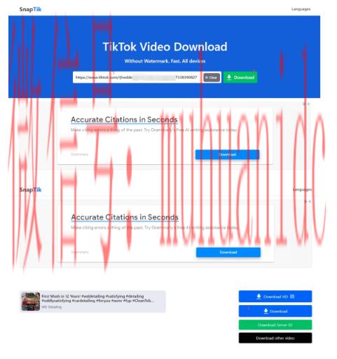 tiktok账号购买平台