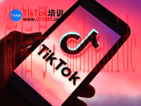 tiktok账号购买平台